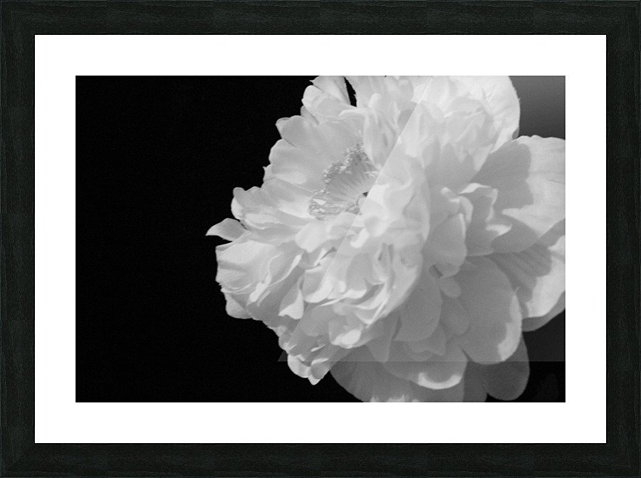 Stigma Picture Frame print