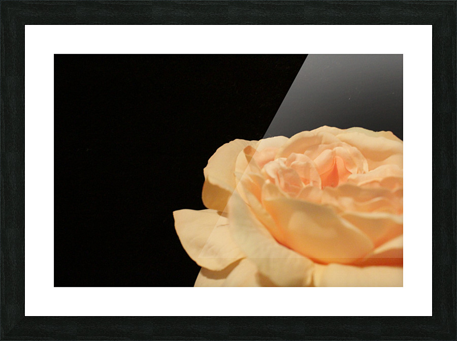 Unfolding Picture Frame print