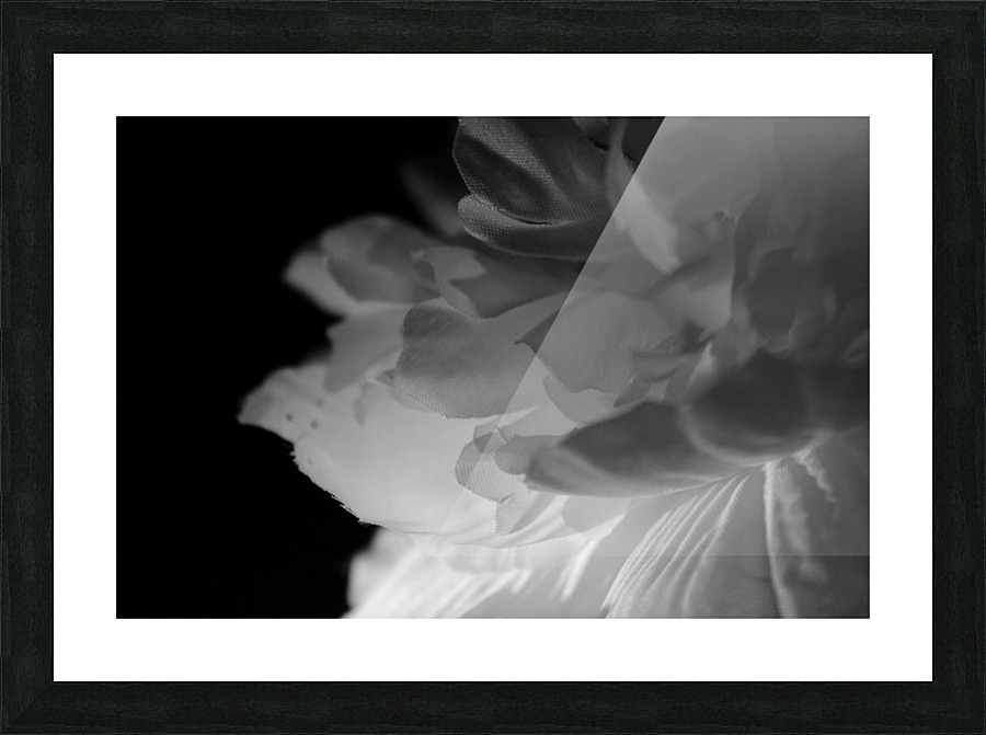 Shadow Picture Frame print