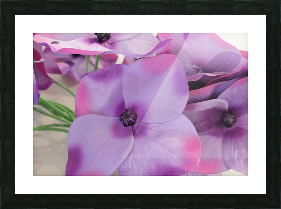 Bora Picture Frame print