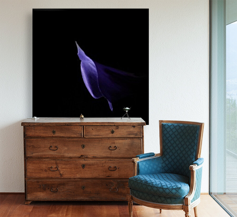 Whisper Reproduction