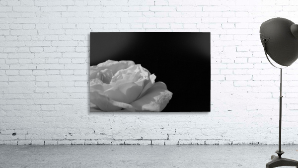 Still Wall Preview