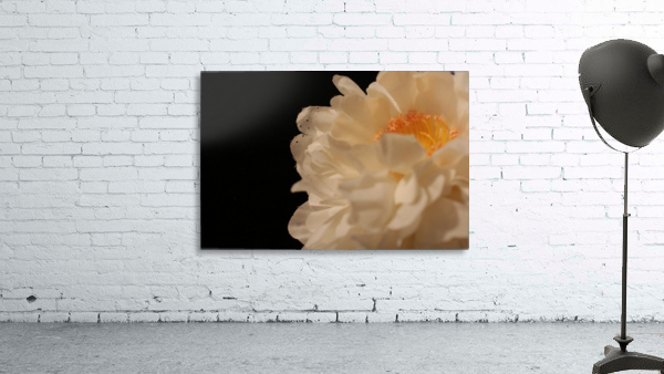 Anther Wall Preview