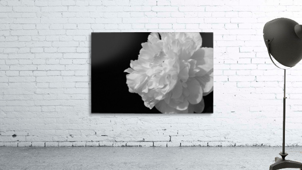 Stigma Wall Preview