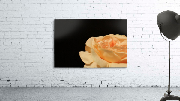 Unfolding Wall Preview