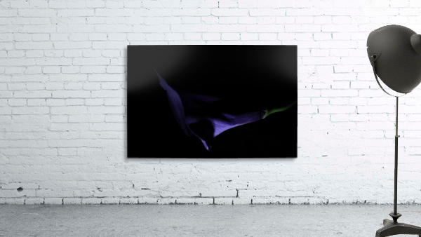 Found Wall Preview