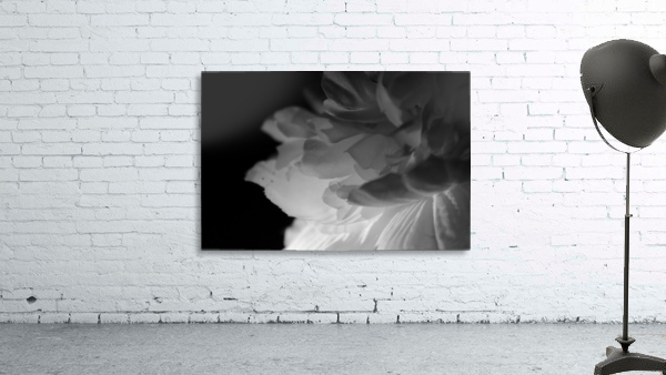 Shadow Wall Preview