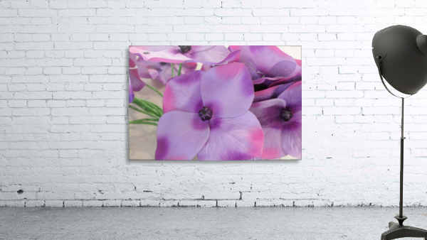 Bora Wall Preview