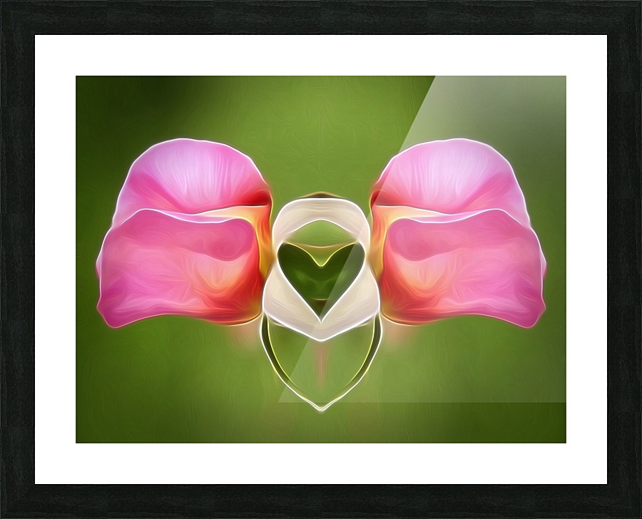 Pink Rose 5 Picture Frame print
