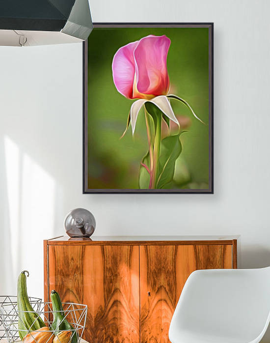 Pink Rose 1 by Debbie Scott