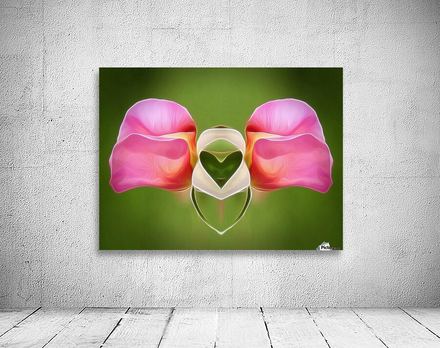 Pink Rose 5 Wall Preview