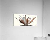 No name Acrylic Print
