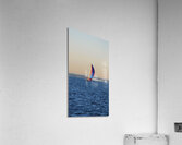 Black Widow Acrylic Print