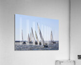 Sailing Acrylic Print