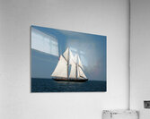 SV Virginia Acrylic Print