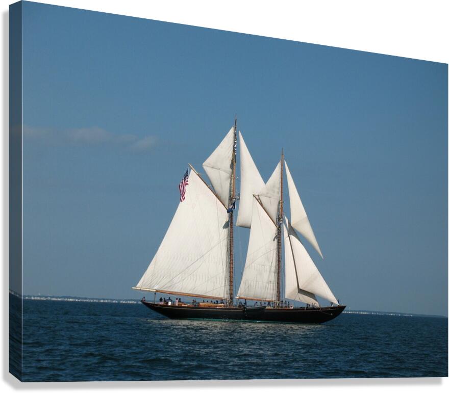 SV Virginia Canvas Print