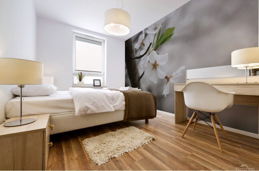 Cherry Blossom Mural print