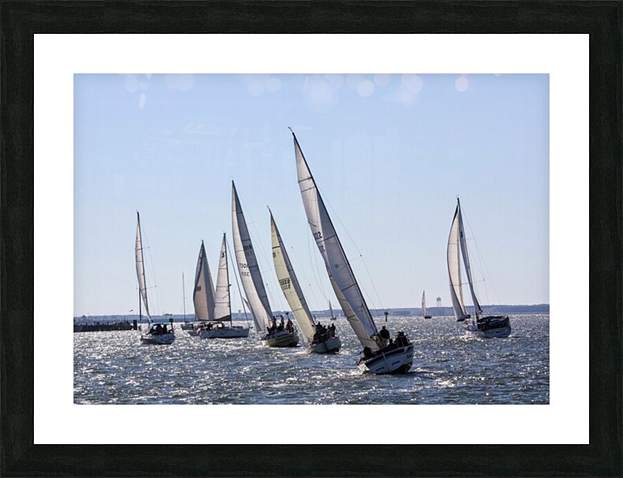 Sailing Picture Frame print