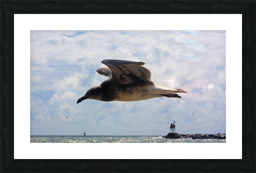 InFlight Picture Frame print