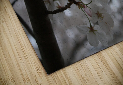 Cherry Blossoms MPerry puzzle