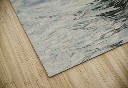 Bird in flight MPerry puzzle