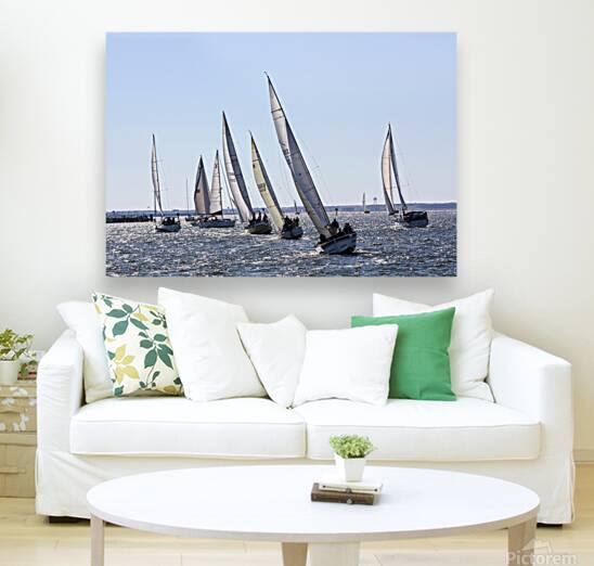 Sailing Reproduction