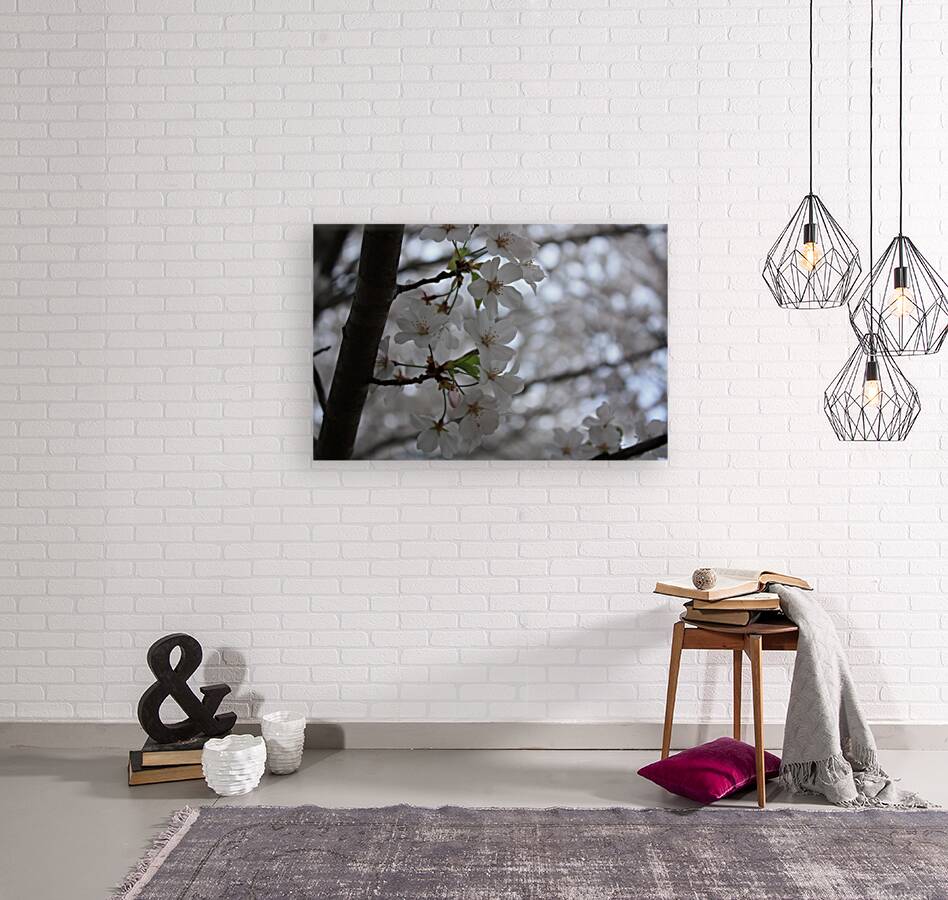 Cherry Blossoms Reproduction