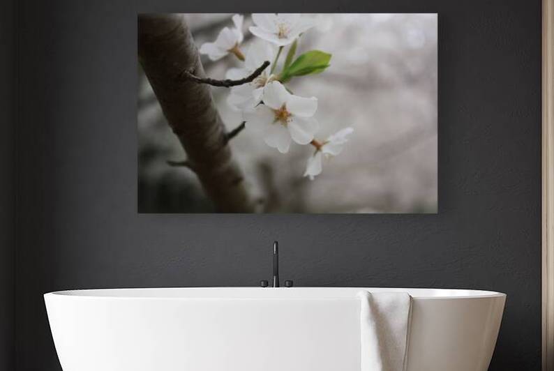 Cherry Blossom Reproduction