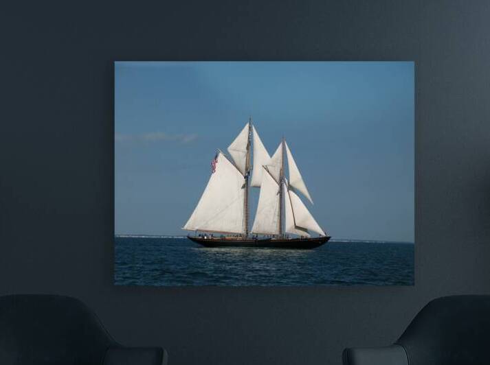 SV Virginia Reproduction