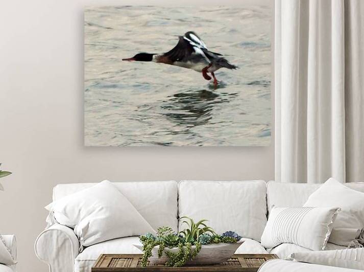 Bird in flight Reproduction