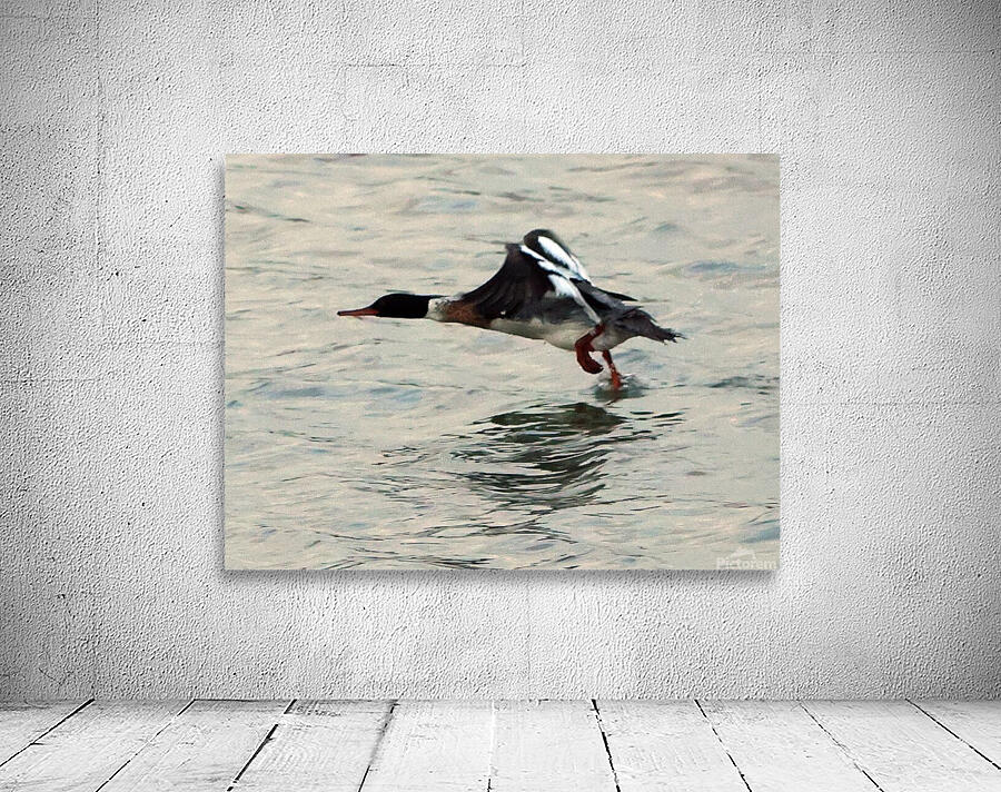 Bird in flight Wall Preview