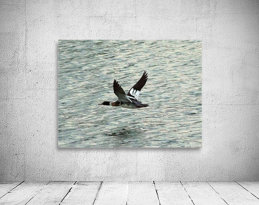 Bird in flight Wall Preview