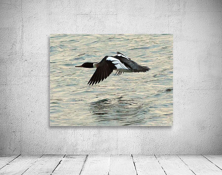 Bird in flight Wall Preview