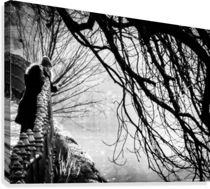Our big tree Canvas Print
