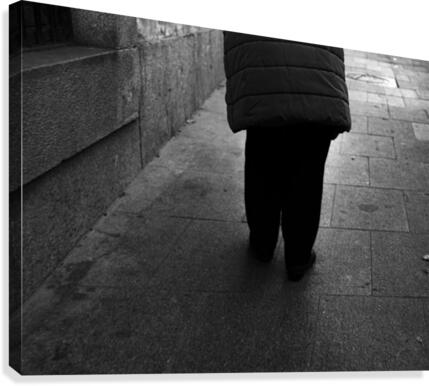 Walker Canvas Print
