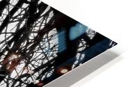 Our big tree HD Metal print