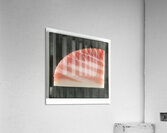 Otoro Acrylic Print
