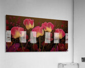 Nocturne Garden Acrylic Print