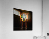 Electrofeline Acrylic Print