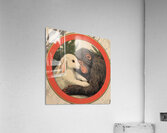 Monkey and the Hare Acrylic Print