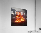 Ember King Acrylic Print