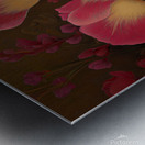 Nocturne Garden Metal print
