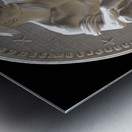 Compatriot Metal print
