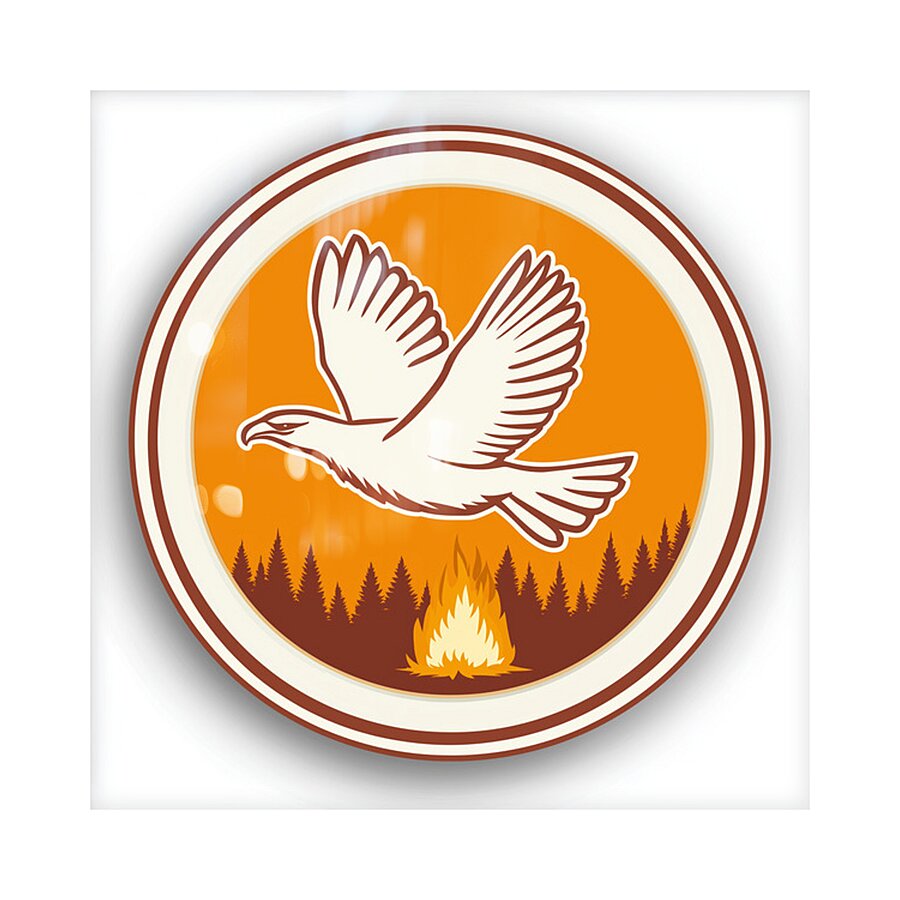 Campfire Flight Picture Frame Printing