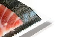 Otoro HD Metal print