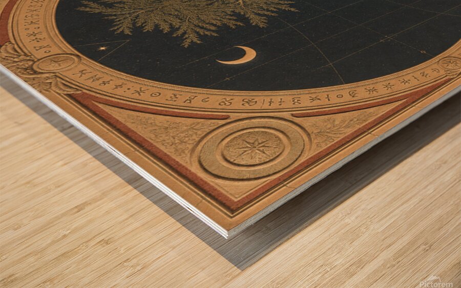 Astronomer’s Grove Wood print