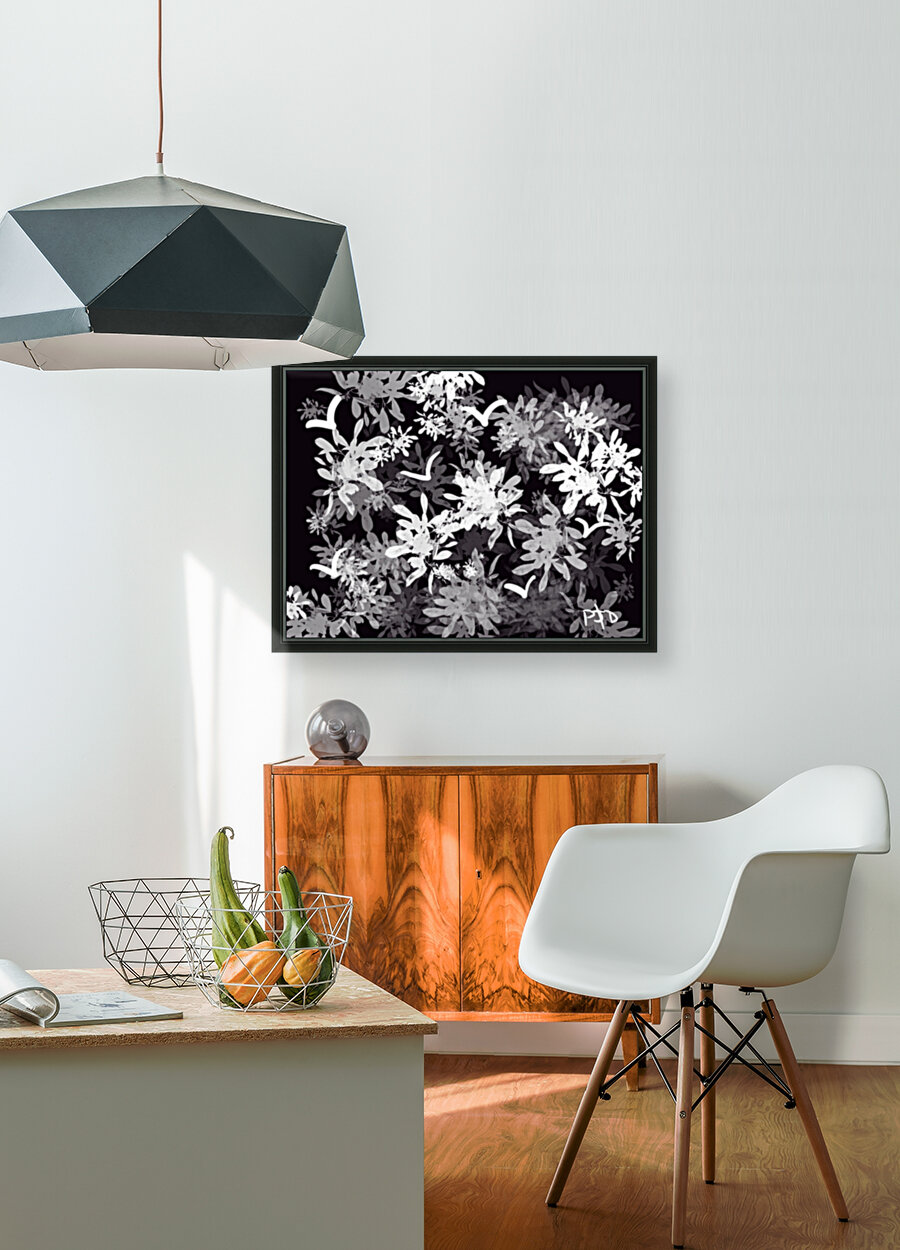 Black & White World Reproduction