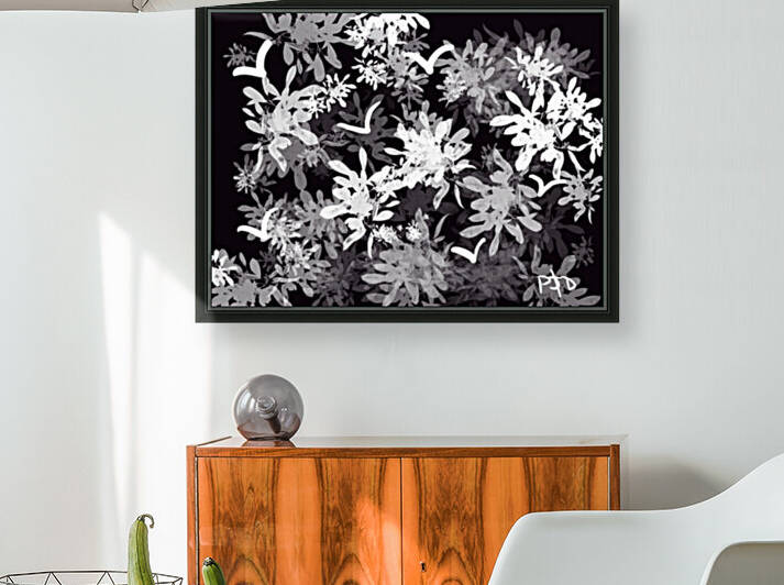 Black & White World by Paula Denoncourt