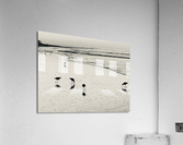 Sandpipers Acrylic Print