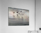 Sandpipers Acrylic Print